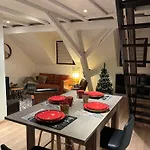 Duplex Privatise, Climatise, 2 公寓 斯特拉斯堡
