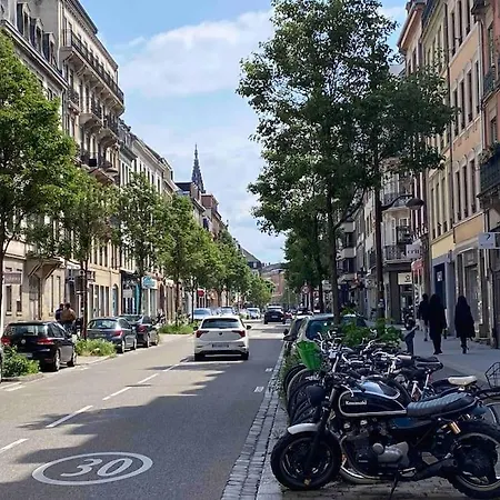 Apartman Duplex Privatise, Climatise, 2 Strasbourg