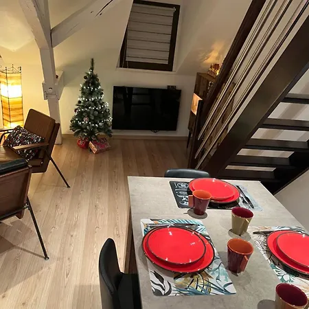 Apartment Duplex Privatise, Climatise, 2 Strasbourg