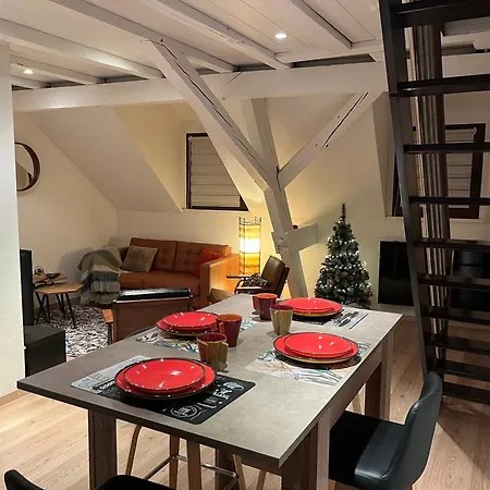 Duplex Privatise, Climatise, 2 Apartman Strasbourg