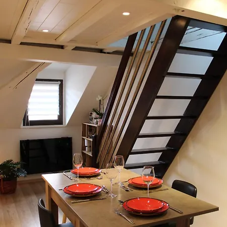 Duplex Privatise, Climatise, 2 Apartman Strasbourg