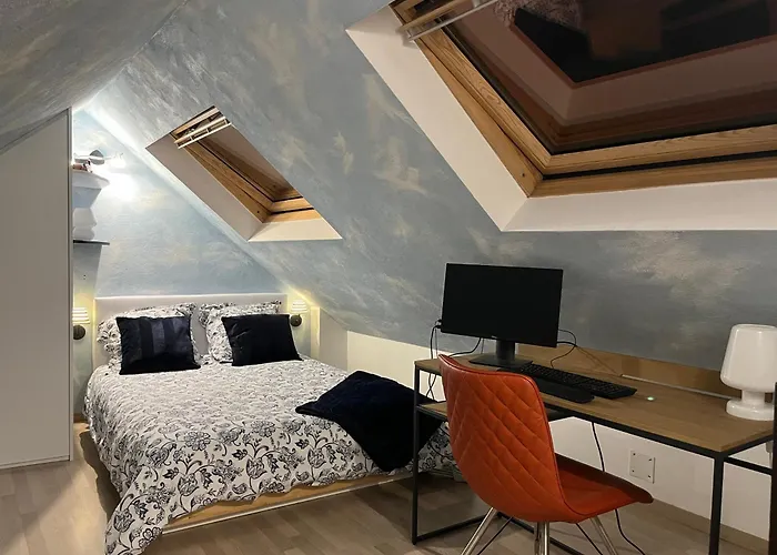 Duplex Privatise, Climatise, 2 公寓 斯特拉斯堡