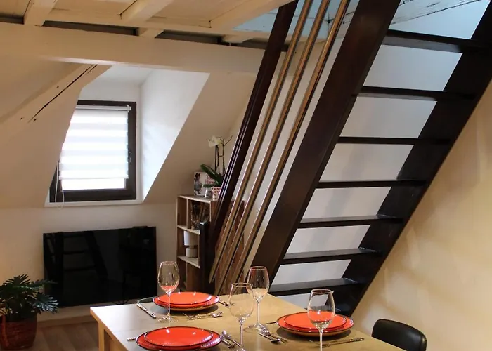 Duplex Privatise, Climatise, 2 公寓 斯特拉斯堡