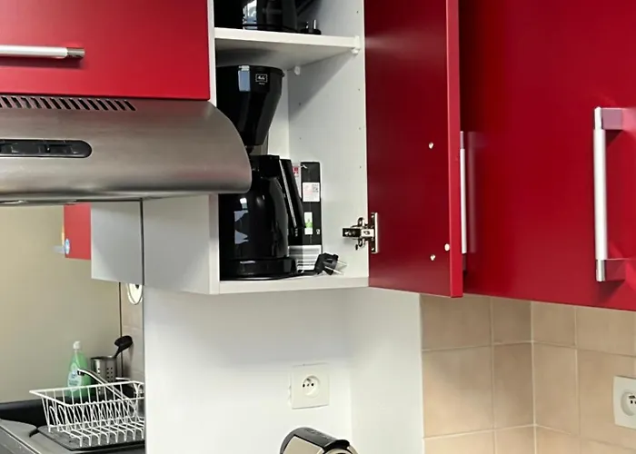 Duplex Privatise, Climatise, 2 公寓 斯特拉斯堡