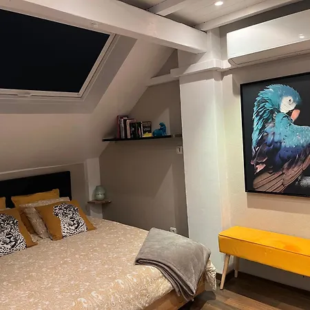 Duplex Privatisé, Climatisé, 2 Appartamento Strasburgo