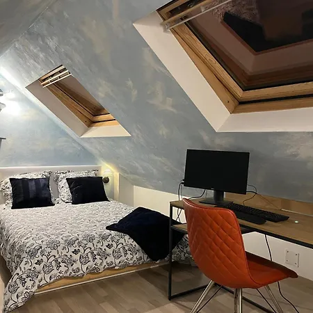 Duplex Privatise, Climatise, 2 Daire Strazburg