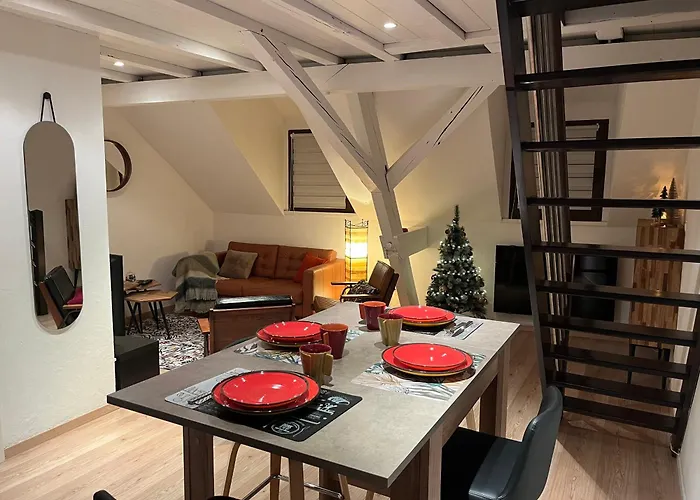 Duplex Privatise, Climatise, 2 شقة ستراسبورغ