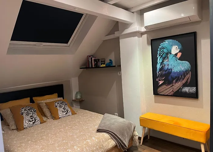 Duplex Privatise, Climatise, 2 شقة ستراسبورغ