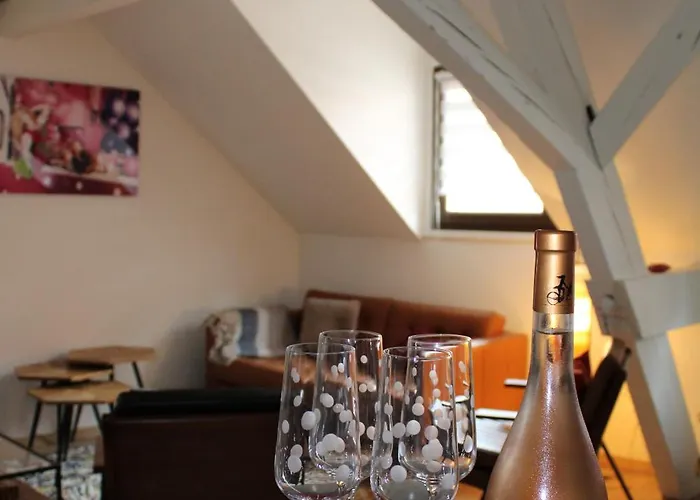Duplex Privatise, Climatise, 2 ستراسبورغ