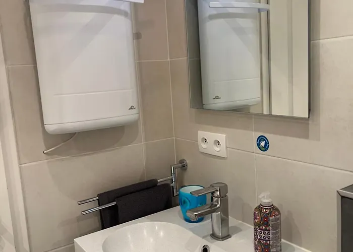 Duplex Privatise, Climatise, 2 شقة ستراسبورغ